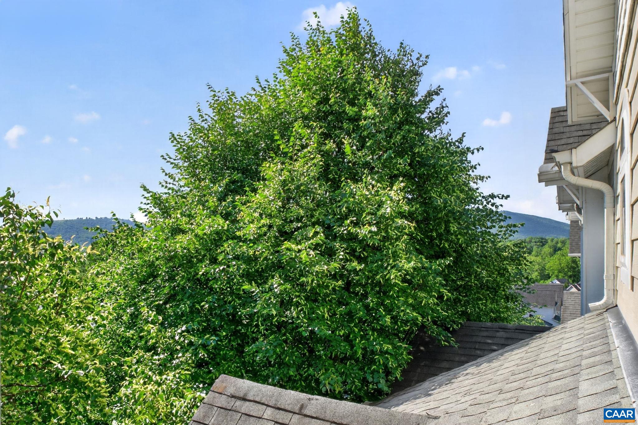 217 BROOKWOOD DR, CHARLOTTESVILLE, Virginia 22902, 4 Bedrooms Bedrooms, ,3 BathroomsBathrooms,Residential,217 BROOKWOOD DR,677165 MLS # 677165