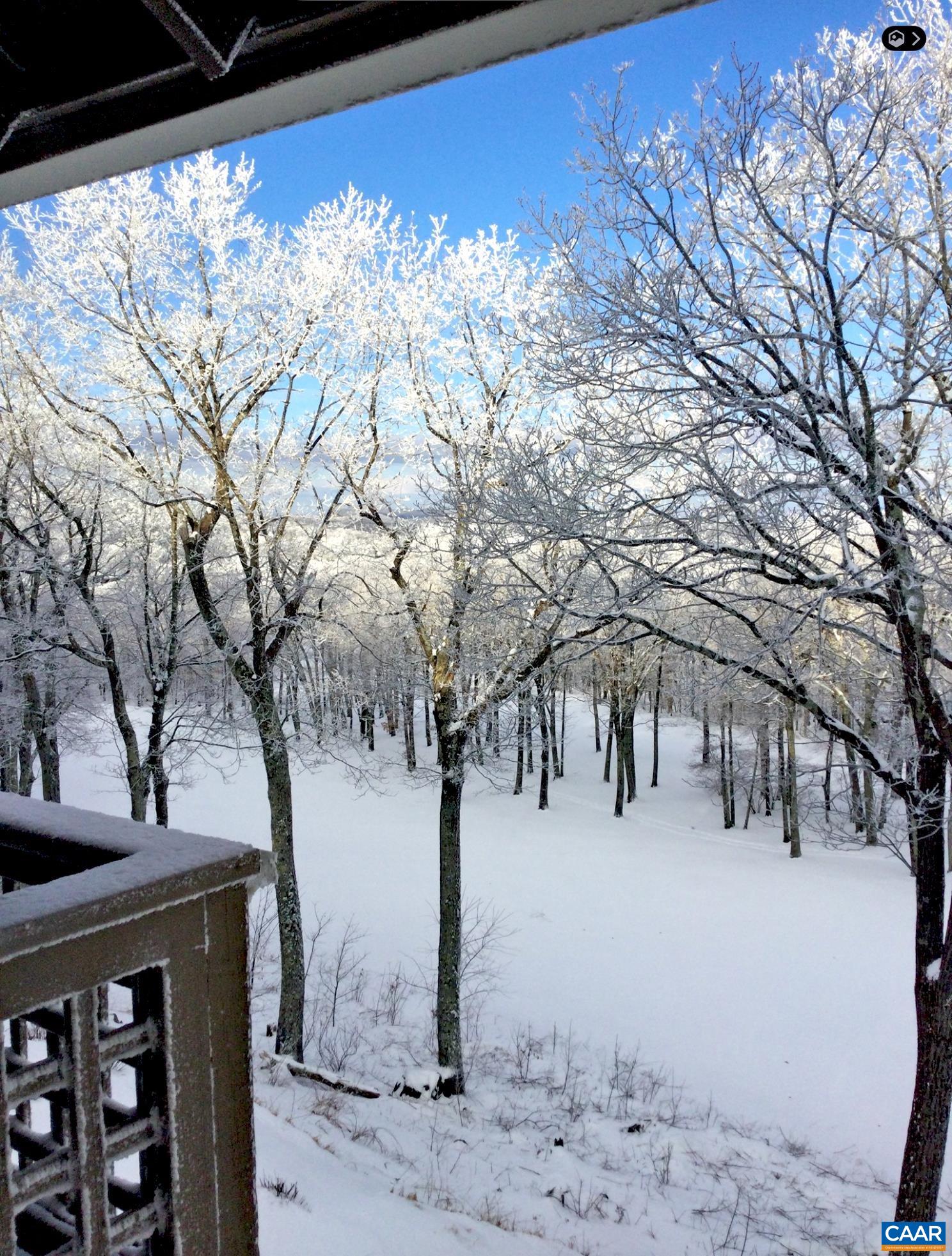 2063 STONE RIDGE CONDOS, WINTERGREEN RESORT, Virginia 22967, 2 Bedrooms Bedrooms, ,2 BathroomsBathrooms,Residential,2063 STONE RIDGE CONDOS,677184 MLS # 677184