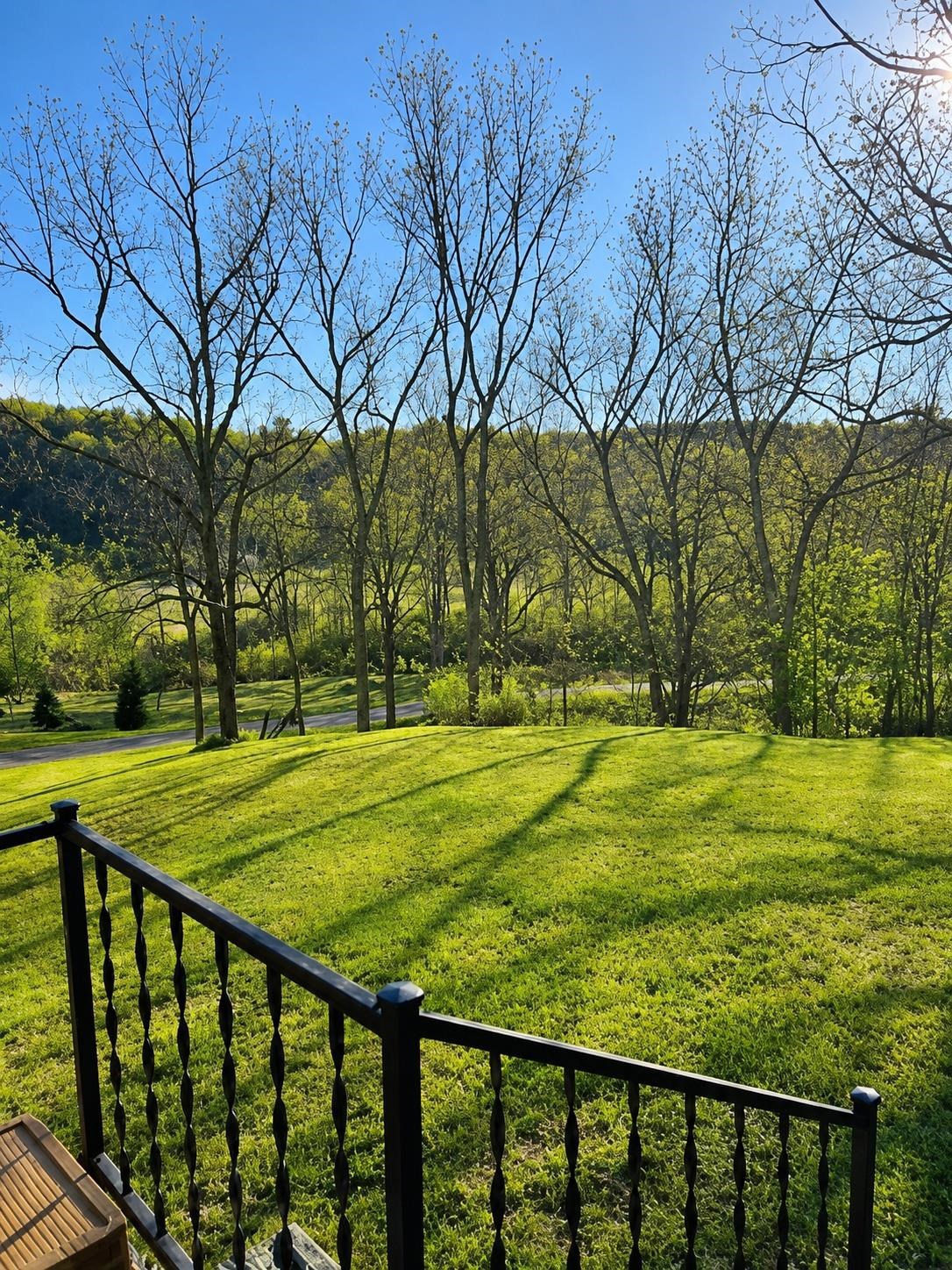 292 HODGES DRAFT LN, WEST AUGUSTA, Virginia 24485, ,Land,292 HODGES DRAFT LN,677195 MLS # 677195