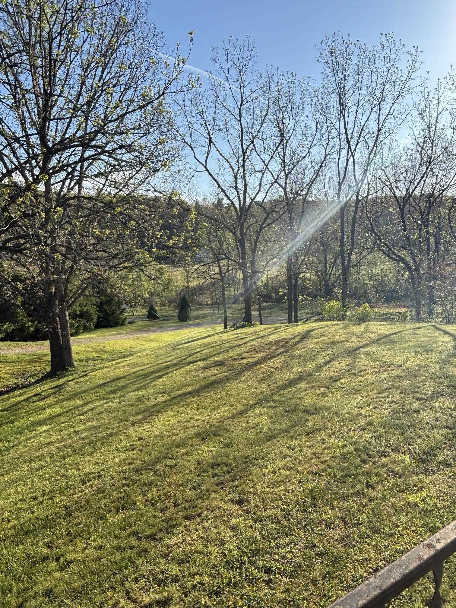 292 HODGES DRAFT LN, WEST AUGUSTA, Virginia 24485, ,Land,292 HODGES DRAFT LN,677195 MLS # 677195