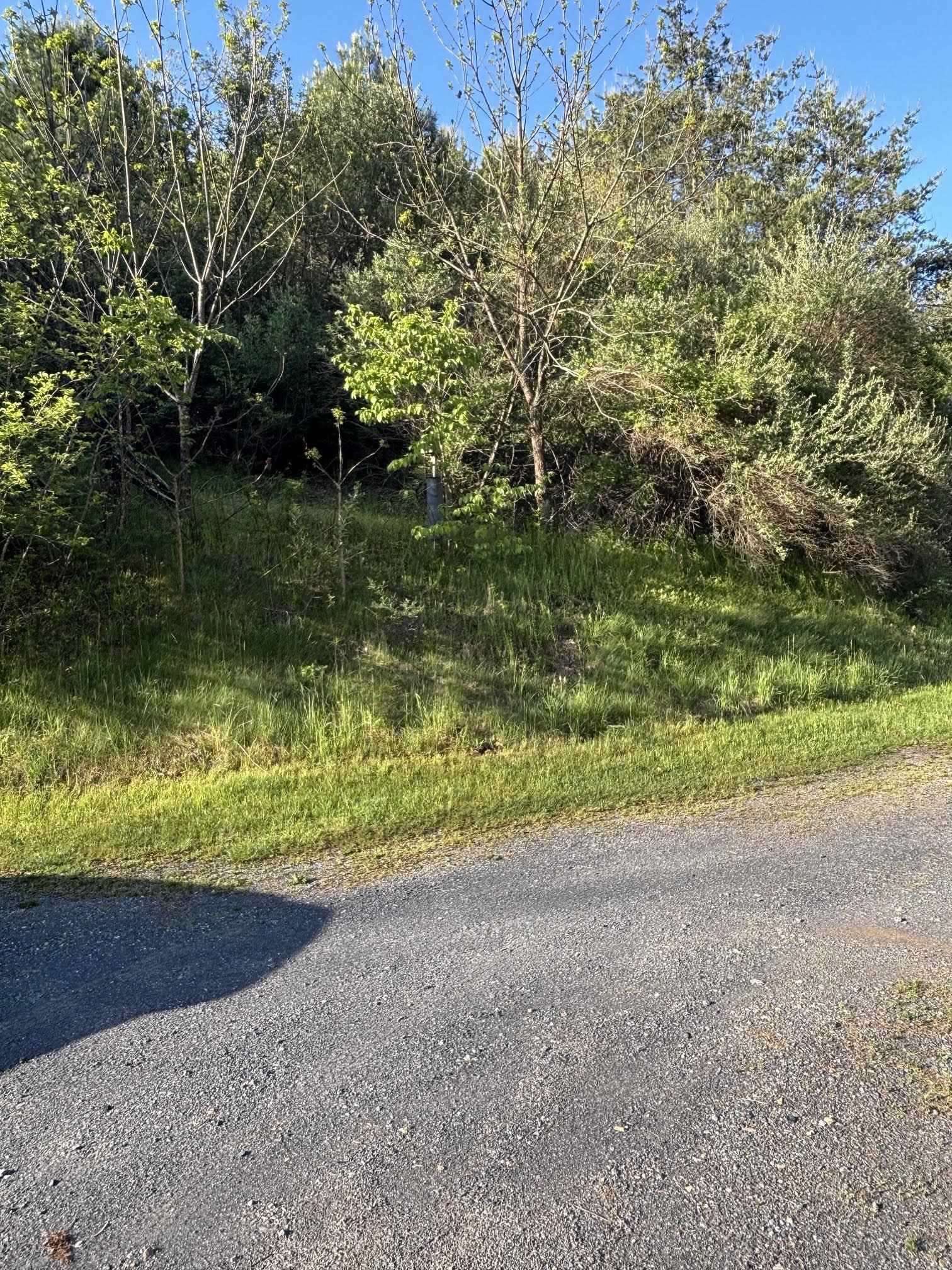 292 HODGES DRAFT LN, WEST AUGUSTA, Virginia 24485, ,Land,292 HODGES DRAFT LN,677195 MLS # 677195