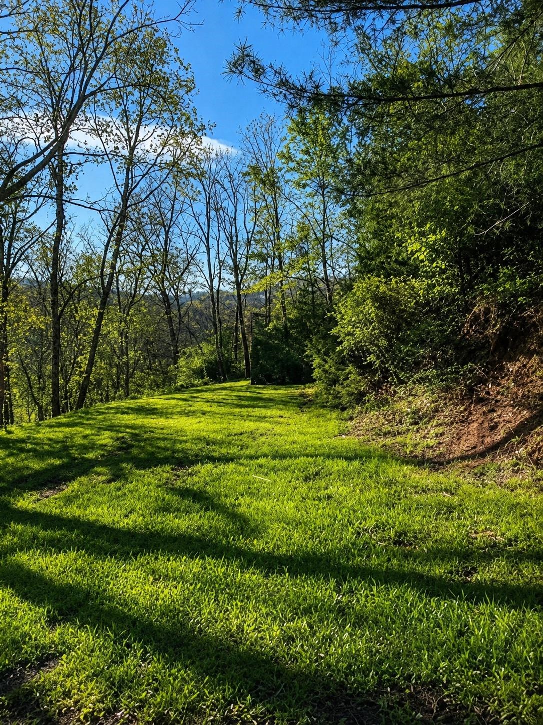 292 HODGES DRAFT LN, WEST AUGUSTA, Virginia 24485, ,Land,292 HODGES DRAFT LN,677195 MLS # 677195