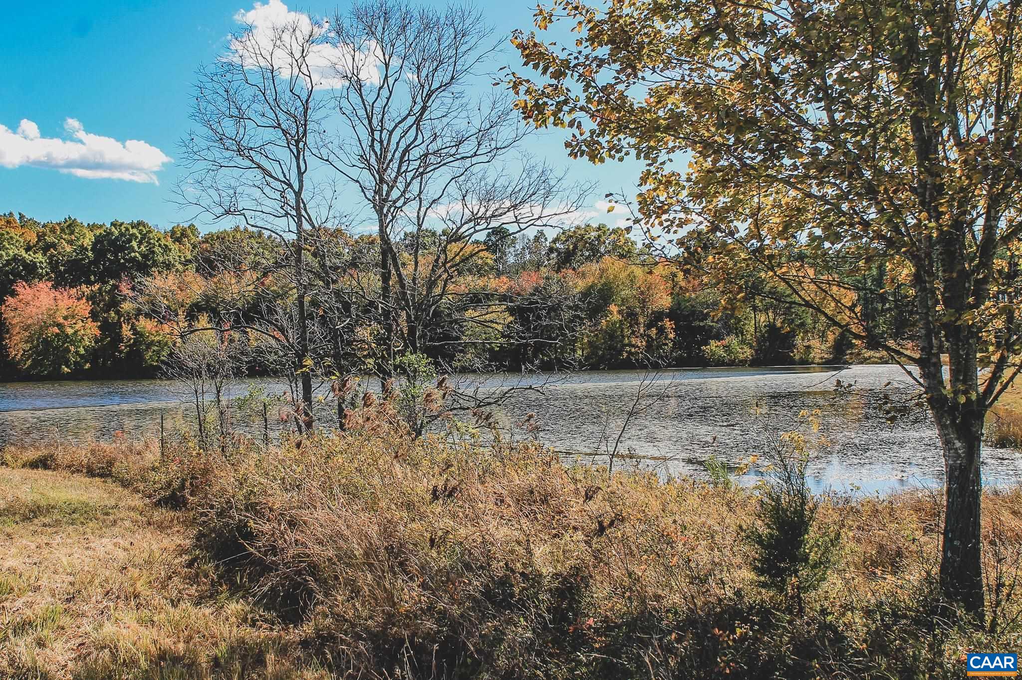 17 ROLLING RD S, SCOTTSVILLE, Virginia 24590, ,Land,17 Acre Mountain View and Pond Lot,17 ROLLING RD S,677199 MLS # 677199