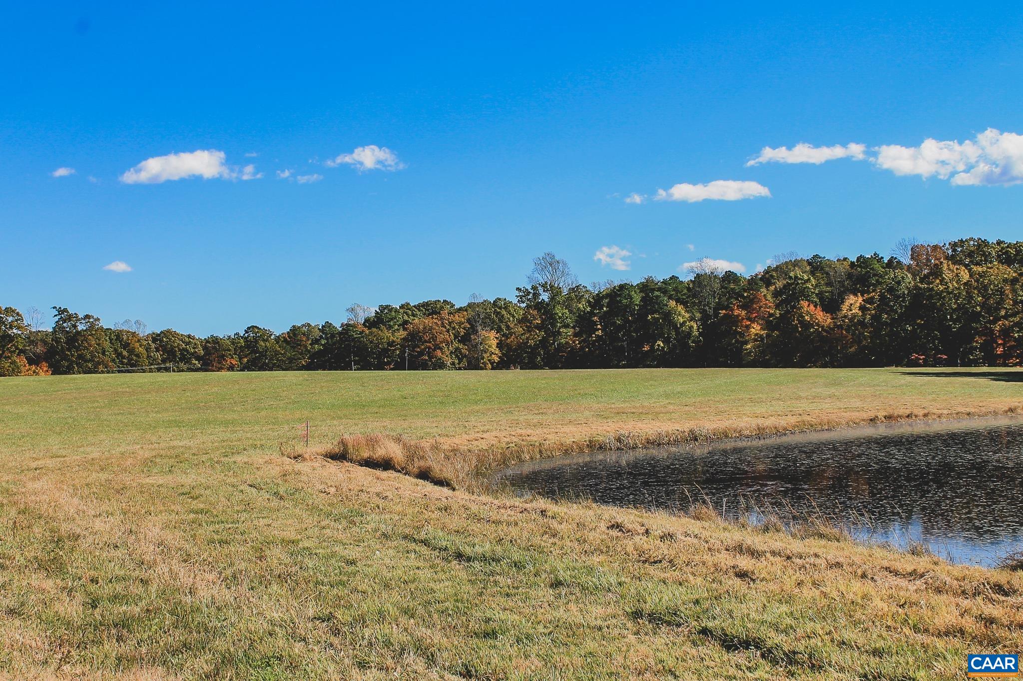 17 ROLLING RD S, SCOTTSVILLE, Virginia 24590, ,Land,17 Acre Mountain View and Pond Lot,17 ROLLING RD S,677199 MLS # 677199