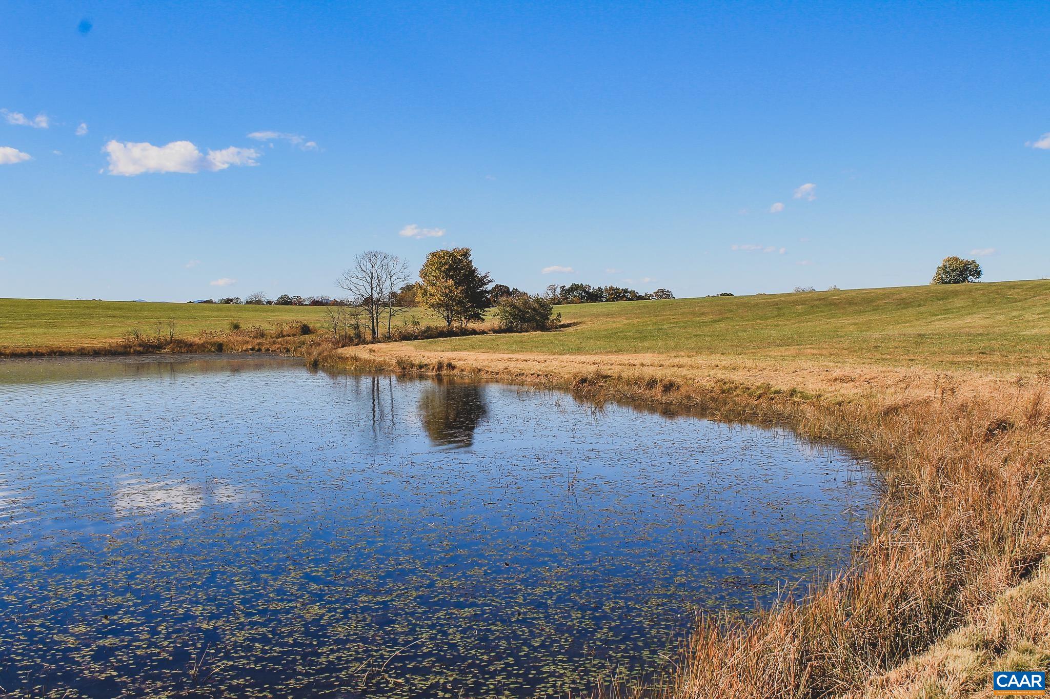 17 ROLLING RD S, SCOTTSVILLE, Virginia 24590, ,Land,17 Acre Mountain View and Pond Lot,17 ROLLING RD S,677199 MLS # 677199