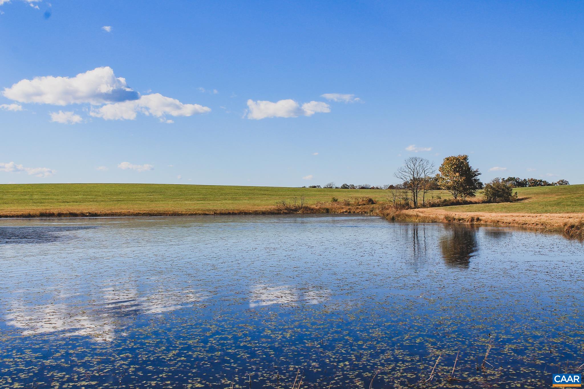 17 ROLLING RD S, SCOTTSVILLE, Virginia 24590, ,Land,17 Acre Mountain View and Pond Lot,17 ROLLING RD S,677199 MLS # 677199