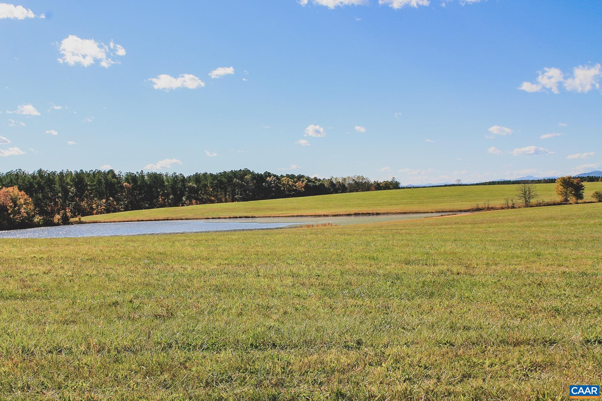 17 ROLLING RD S, SCOTTSVILLE, Virginia 24590, ,Land,17 Acre Mountain View and Pond Lot,17 ROLLING RD S,677199 MLS # 677199