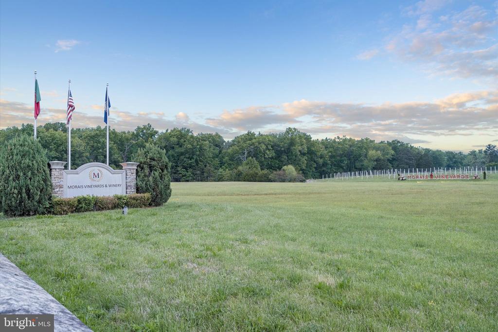 2979 REVERE ST, BEALETON, Virginia 22712, 5 Bedrooms Bedrooms, ,3 BathroomsBathrooms,Residential,2979 REVERE ST,VAFQ2021310 MLS # VAFQ2021310