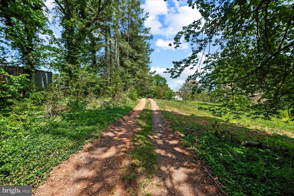 679 RESETTLEMENT, MADISON, Virginia 22727, 3 Bedrooms Bedrooms, ,1 BathroomBathrooms,Residential,679 RESETTLEMENT,VAMA2002736 MLS # VAMA2002736