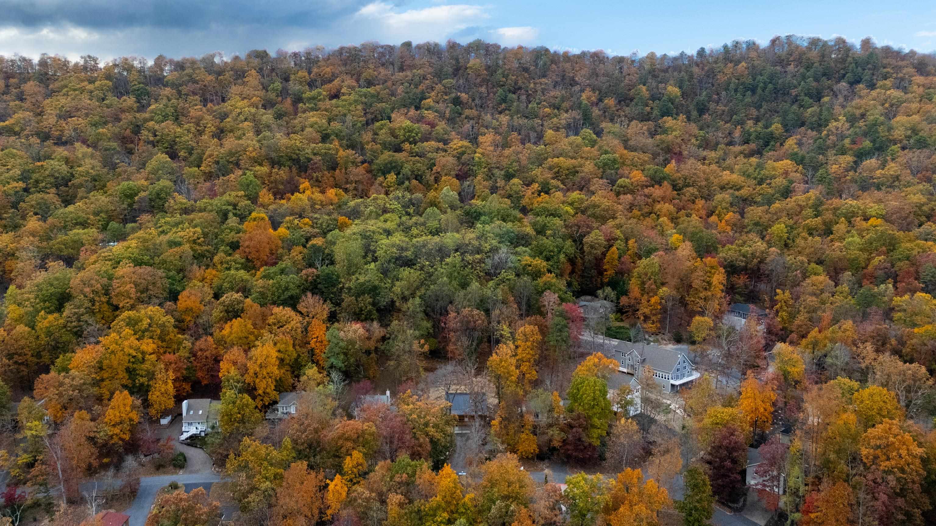 267 GROUSE DR, MCGAHEYSVILLE, Virginia 22840, 6 Bedrooms Bedrooms, ,3 BathroomsBathrooms,Residential,267 GROUSE DR,672339 MLS # 672339