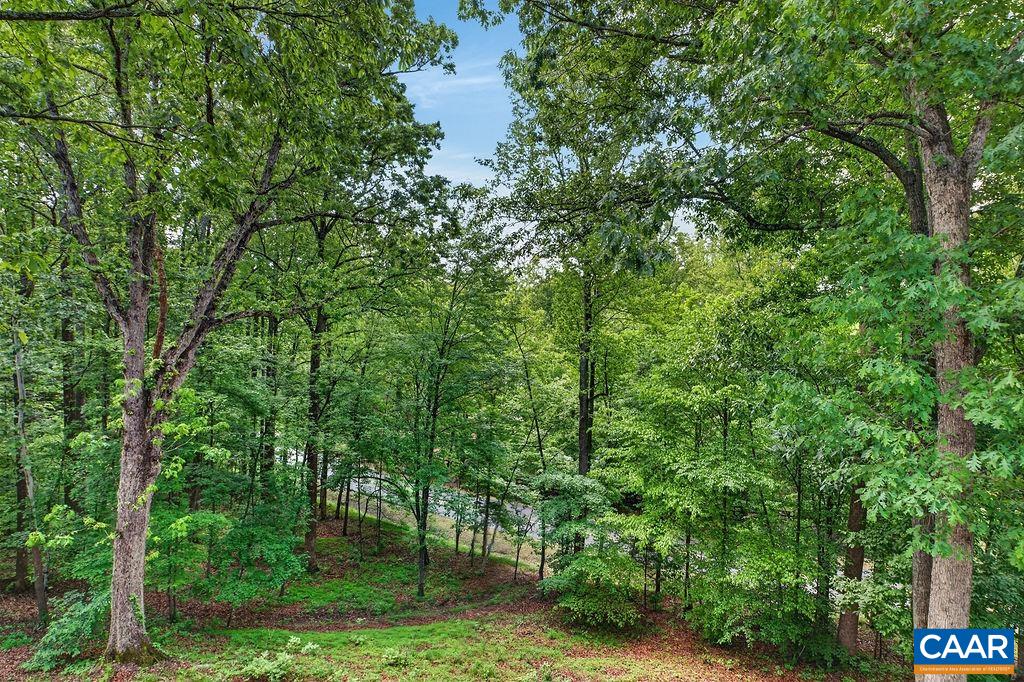 220 SADDLEBACK KNL, NELLYSFORD, Virginia 22958, 4 Bedrooms Bedrooms, ,3 BathroomsBathrooms,Residential,220 SADDLEBACK KNL,677070 MLS # 677070 220 SADDLEBACK KNL, NELLYSFORD, Virginia 22958, 4 Bedrooms Bedrooms, ,3 BathroomsBathrooms,Residential,220 SADDLEBACK KNL,677070 MLS # 677070