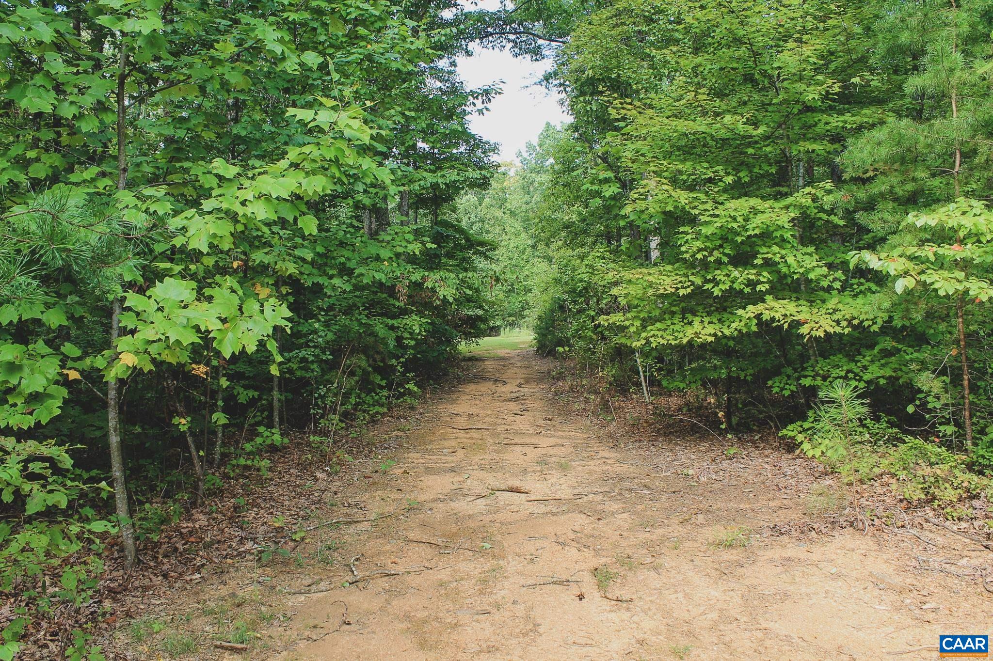 6414 JEFFERSON MILL RD, SCOTTSVILLE, Virginia 24590, 5 Bedrooms Bedrooms, ,3 BathroomsBathrooms,Residential,Colonial Home on 25 acres near Charlottesville,6414 JEFFERSON MILL RD,677200 MLS # 677200