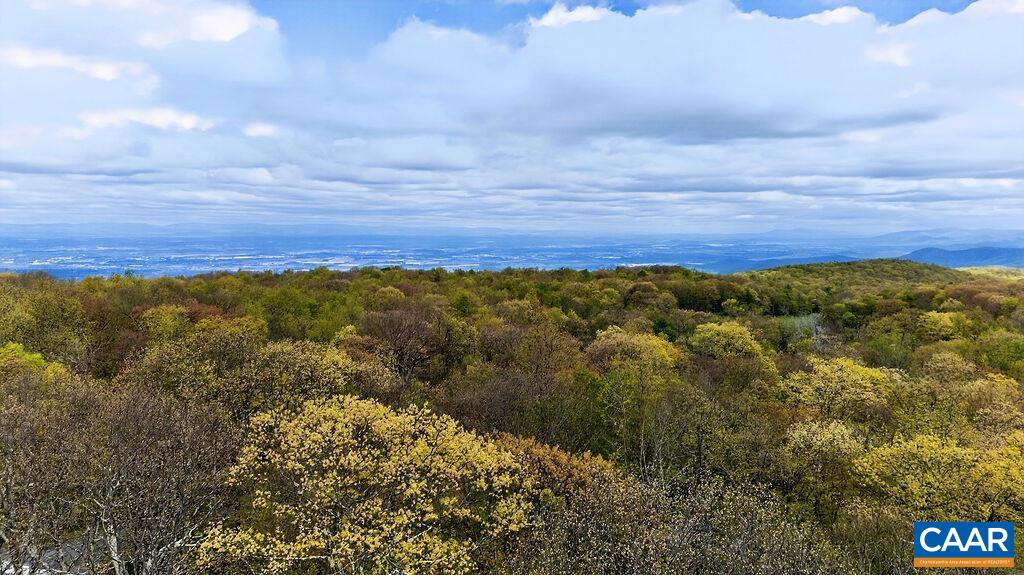 2231 TANNERS RIDGE CONDOS, WINTERGREEN, Virginia 22967, 1 Bedroom Bedrooms, ,1 BathroomBathrooms,Residential,2231 TANNERS RIDGE CONDOS,677206 MLS # 677206