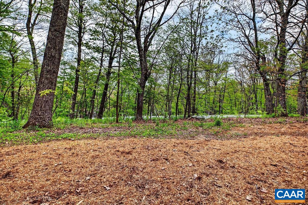 2231 TANNERS RIDGE CONDOS, WINTERGREEN, Virginia 22967, 1 Bedroom Bedrooms, ,1 BathroomBathrooms,Residential,2231 TANNERS RIDGE CONDOS,677206 MLS # 677206