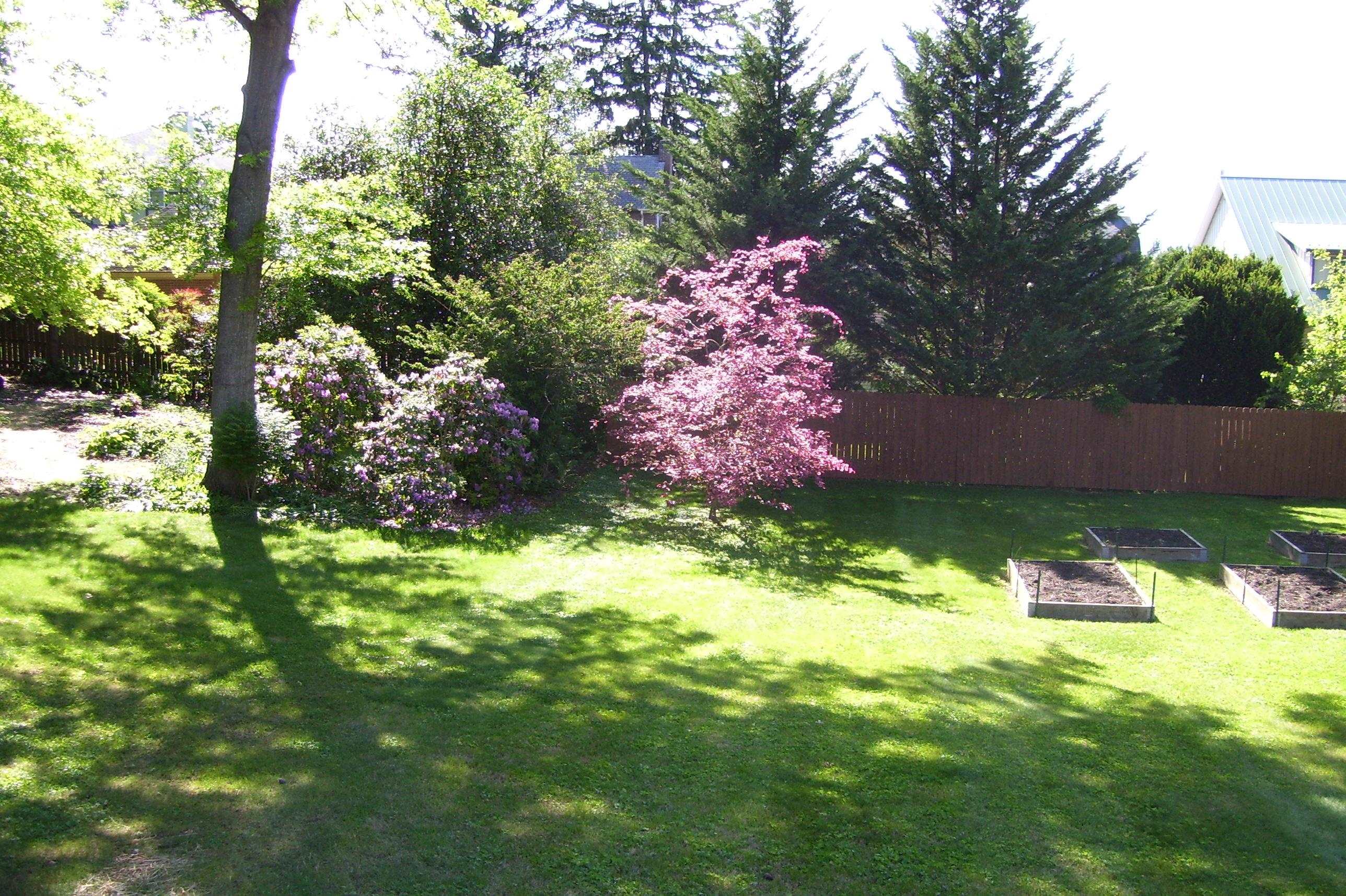 347 MONTICELLO AVE, HARRISONBURG, Virginia 22801, 3 Bedrooms Bedrooms, ,1 BathroomBathrooms,Residential,347 MONTICELLO AVE,677209 MLS # 677209