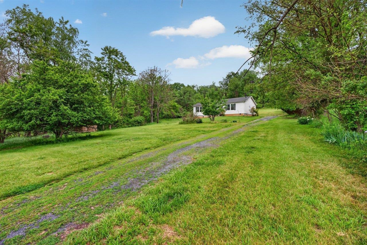 16229 NORTH MOUNTAIN RD, BROADWAY, Virginia 22815, 3 Bedrooms Bedrooms, ,2 BathroomsBathrooms,Residential,16229 NORTH MOUNTAIN RD,677212 MLS # 677212