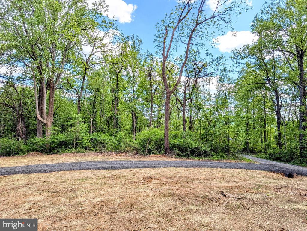 3964 HIDDEN VALLEY LN, LINDEN, Virginia 22642, ,Land,3964 HIDDEN VALLEY LN,VAFQ2022086 MLS # VAFQ2022086