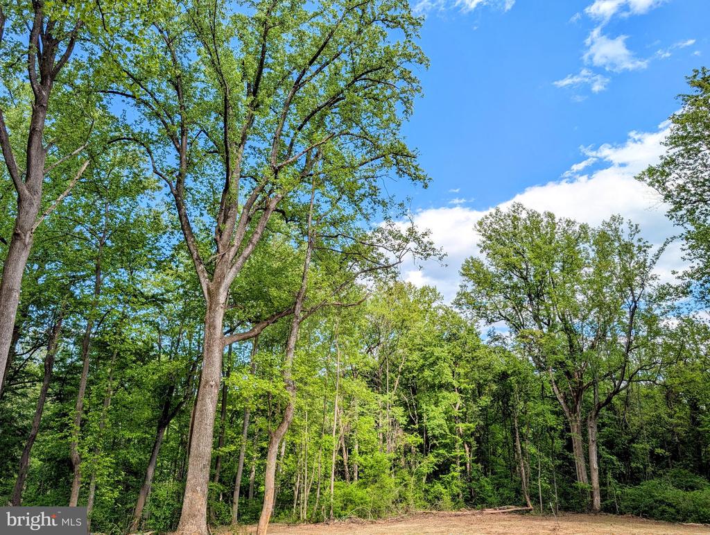 3964 HIDDEN VALLEY LN, LINDEN, Virginia 22642, ,Land,3964 HIDDEN VALLEY LN,VAFQ2022086 MLS # VAFQ2022086