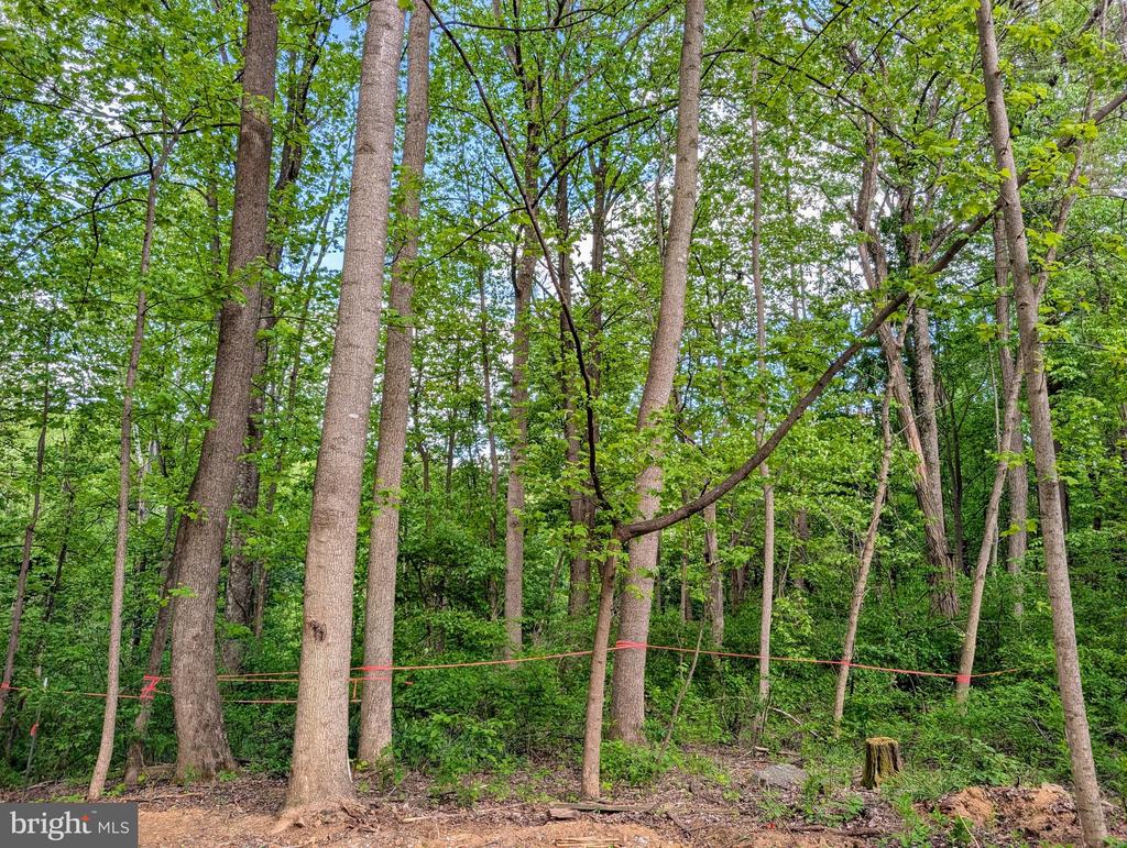 3964 HIDDEN VALLEY LN, LINDEN, Virginia 22642, ,Land,3964 HIDDEN VALLEY LN,VAFQ2022086 MLS # VAFQ2022086