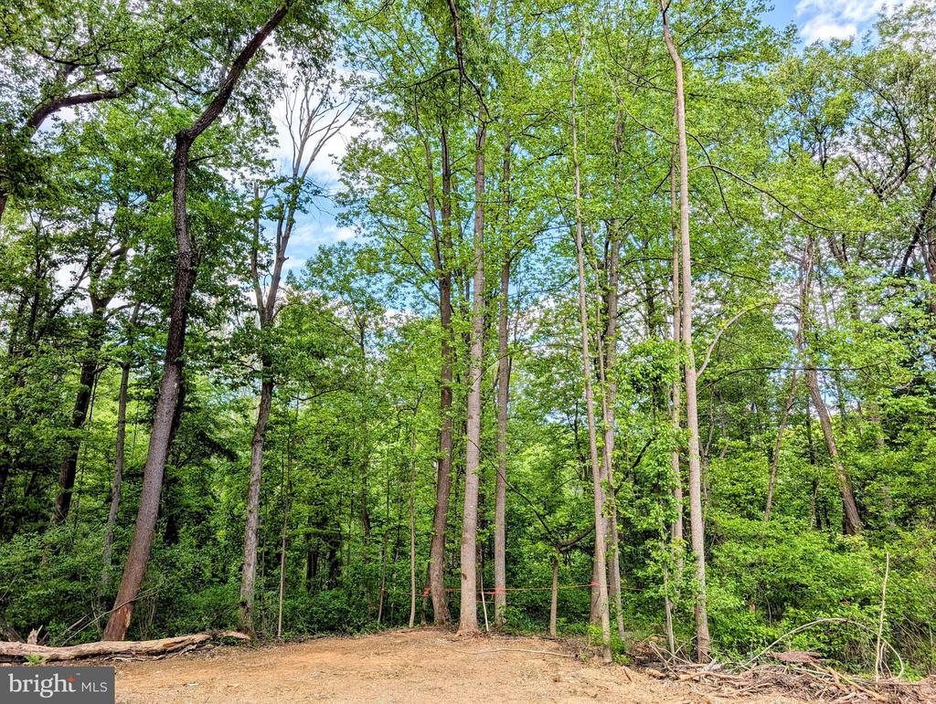 3964 HIDDEN VALLEY LN, LINDEN, Virginia 22642, ,Land,3964 HIDDEN VALLEY LN,VAFQ2022086 MLS # VAFQ2022086