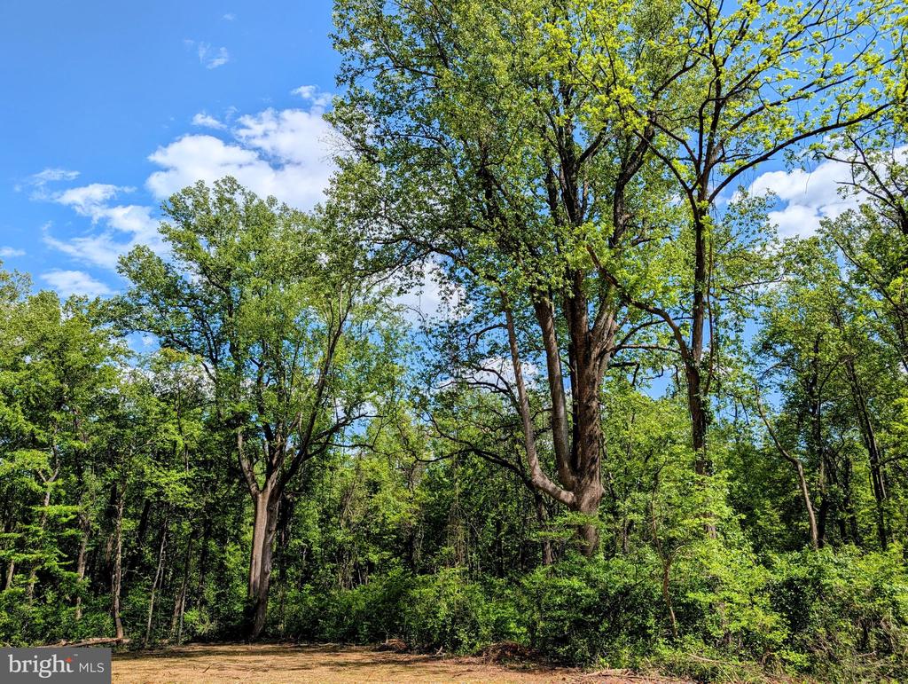 3964 HIDDEN VALLEY LN, LINDEN, Virginia 22642, ,Land,3964 HIDDEN VALLEY LN,VAFQ2022086 MLS # VAFQ2022086