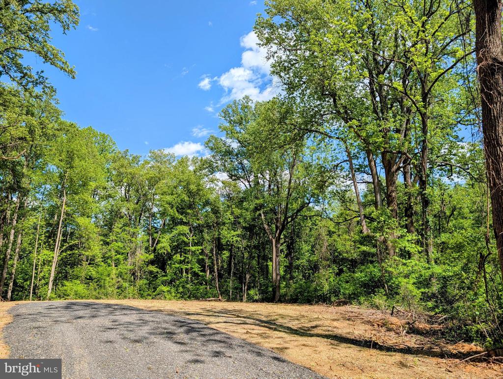 3964 HIDDEN VALLEY LN, LINDEN, Virginia 22642, ,Land,3964 HIDDEN VALLEY LN,VAFQ2022086 MLS # VAFQ2022086