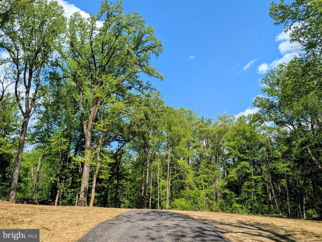 3964 HIDDEN VALLEY LN, LINDEN, Virginia 22642, ,Land,3964 HIDDEN VALLEY LN,VAFQ2022086 MLS # VAFQ2022086