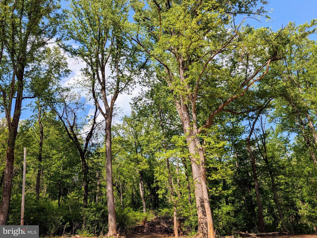 3964 HIDDEN VALLEY LN, LINDEN, Virginia 22642, ,Land,3964 HIDDEN VALLEY LN,VAFQ2022086 MLS # VAFQ2022086