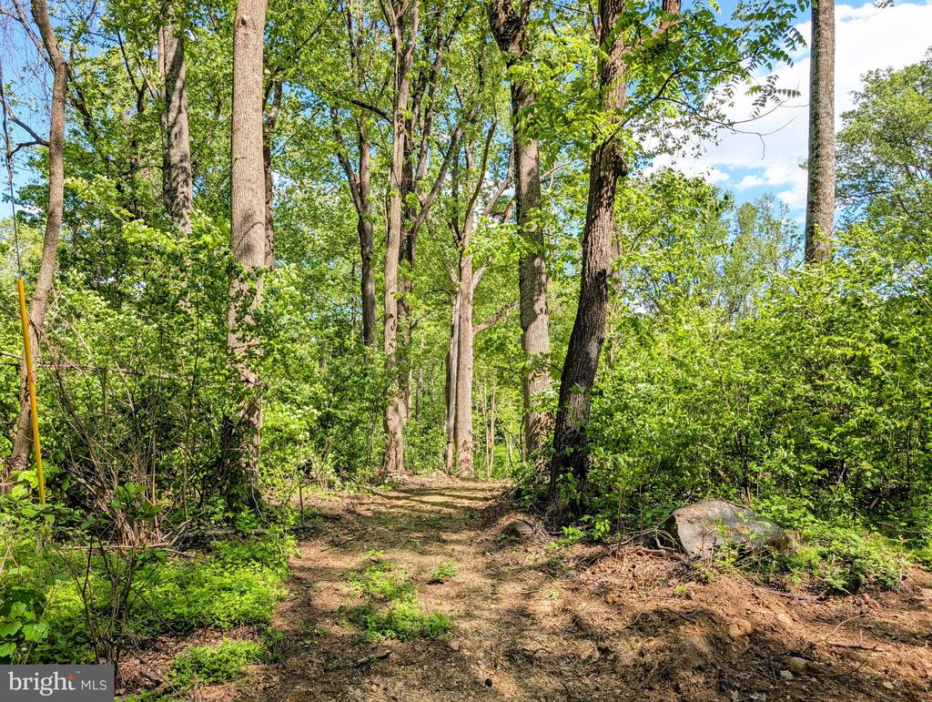 3964 HIDDEN VALLEY LN, LINDEN, Virginia 22642, ,Land,3964 HIDDEN VALLEY LN,VAFQ2022086 MLS # VAFQ2022086