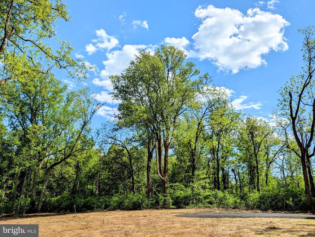 3964 HIDDEN VALLEY LN, LINDEN, Virginia 22642, ,Land,3964 HIDDEN VALLEY LN,VAFQ2022086 MLS # VAFQ2022086