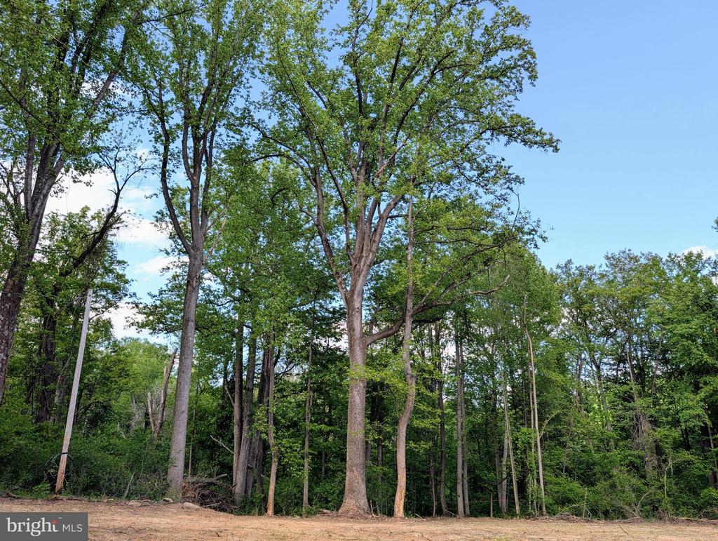 3964 HIDDEN VALLEY LN, LINDEN, Virginia 22642, ,Land,3964 HIDDEN VALLEY LN,VAFQ2022086 MLS # VAFQ2022086