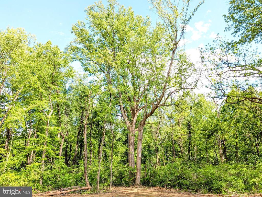 3964 HIDDEN VALLEY LN, LINDEN, Virginia 22642, ,Land,3964 HIDDEN VALLEY LN,VAFQ2022086 MLS # VAFQ2022086