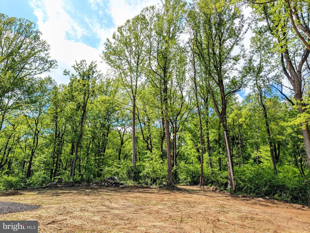 3964 HIDDEN VALLEY LN, LINDEN, Virginia 22642, ,Land,3964 HIDDEN VALLEY LN,VAFQ2022086 MLS # VAFQ2022086