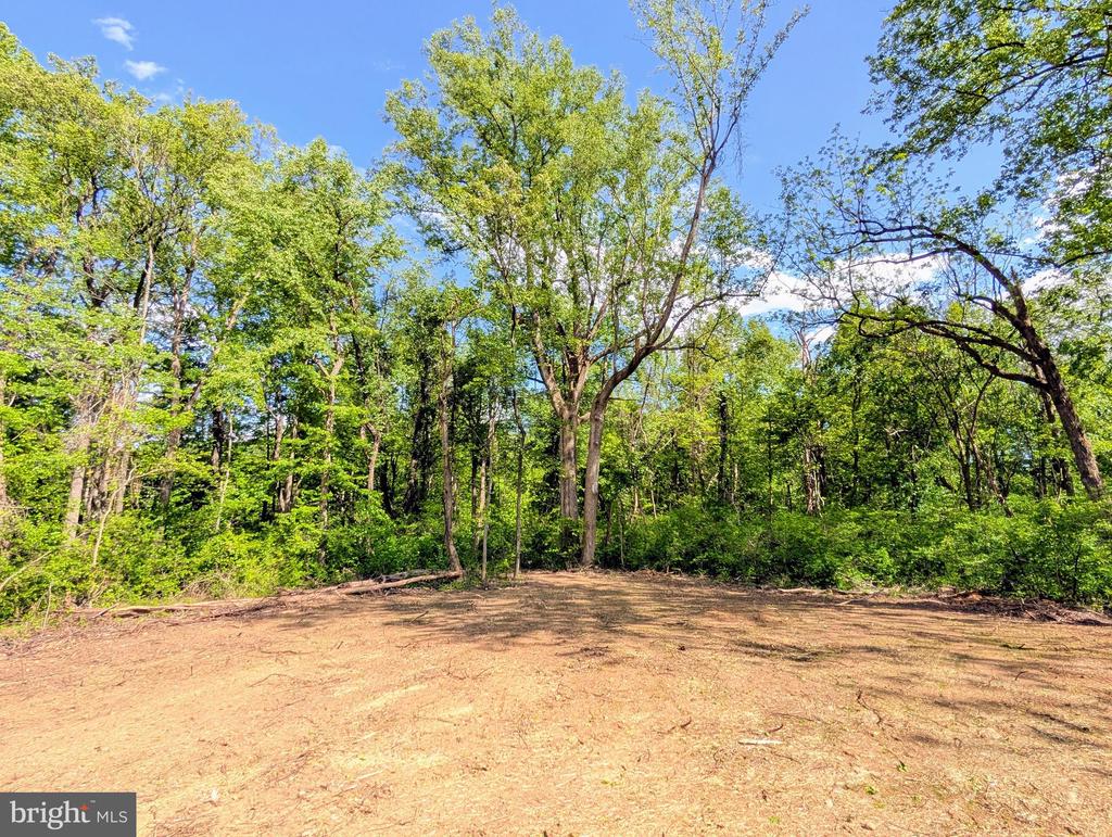 3964 HIDDEN VALLEY LN, LINDEN, Virginia 22642, ,Land,3964 HIDDEN VALLEY LN,VAFQ2022086 MLS # VAFQ2022086