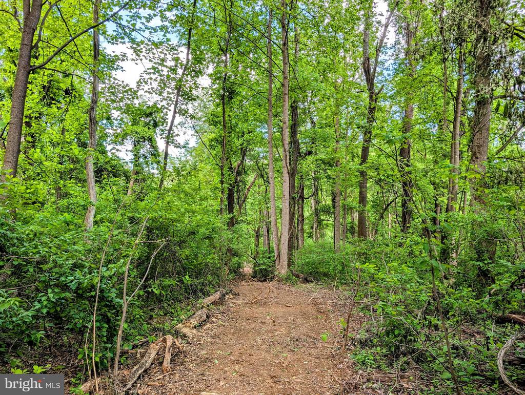 3964 HIDDEN VALLEY LN, LINDEN, Virginia 22642, ,Land,3964 HIDDEN VALLEY LN,VAFQ2022086 MLS # VAFQ2022086