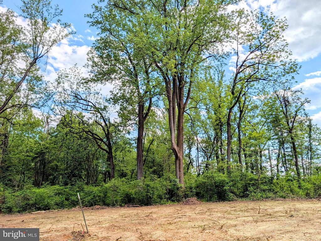 3964 HIDDEN VALLEY LN, LINDEN, Virginia 22642, ,Land,3964 HIDDEN VALLEY LN,VAFQ2022086 MLS # VAFQ2022086