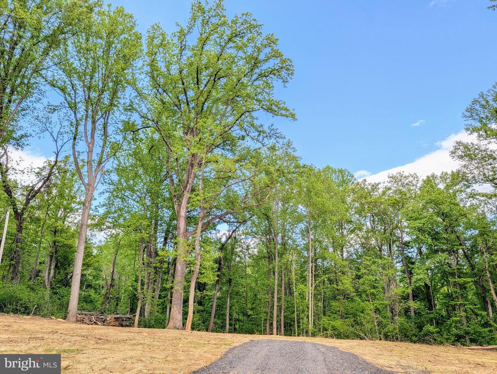 3964 HIDDEN VALLEY LN, LINDEN, Virginia 22642, ,Land,3964 HIDDEN VALLEY LN,VAFQ2022086 MLS # VAFQ2022086