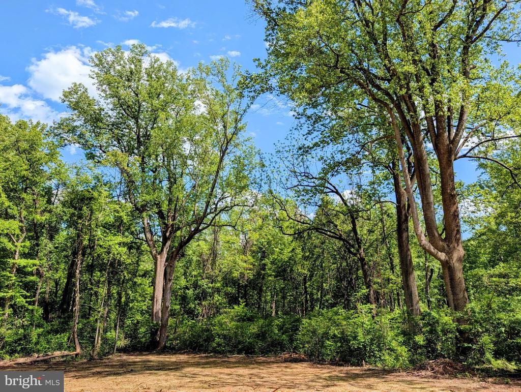 3964 HIDDEN VALLEY LN, LINDEN, Virginia 22642, ,Land,3964 HIDDEN VALLEY LN,VAFQ2022086 MLS # VAFQ2022086