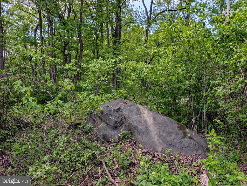 3964 HIDDEN VALLEY LN, LINDEN, Virginia 22642, ,Land,3964 HIDDEN VALLEY LN,VAFQ2022086 MLS # VAFQ2022086