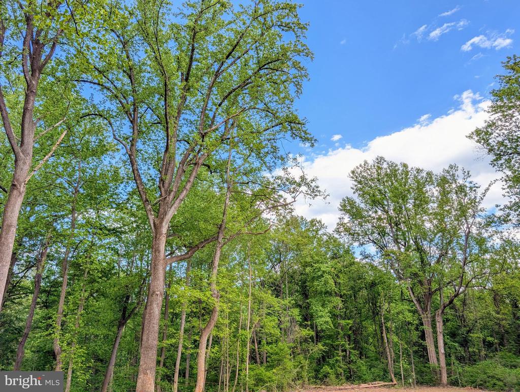 3964 HIDDEN VALLEY LN, LINDEN, Virginia 22642, ,Land,3964 HIDDEN VALLEY LN,VAFQ2022086 MLS # VAFQ2022086
