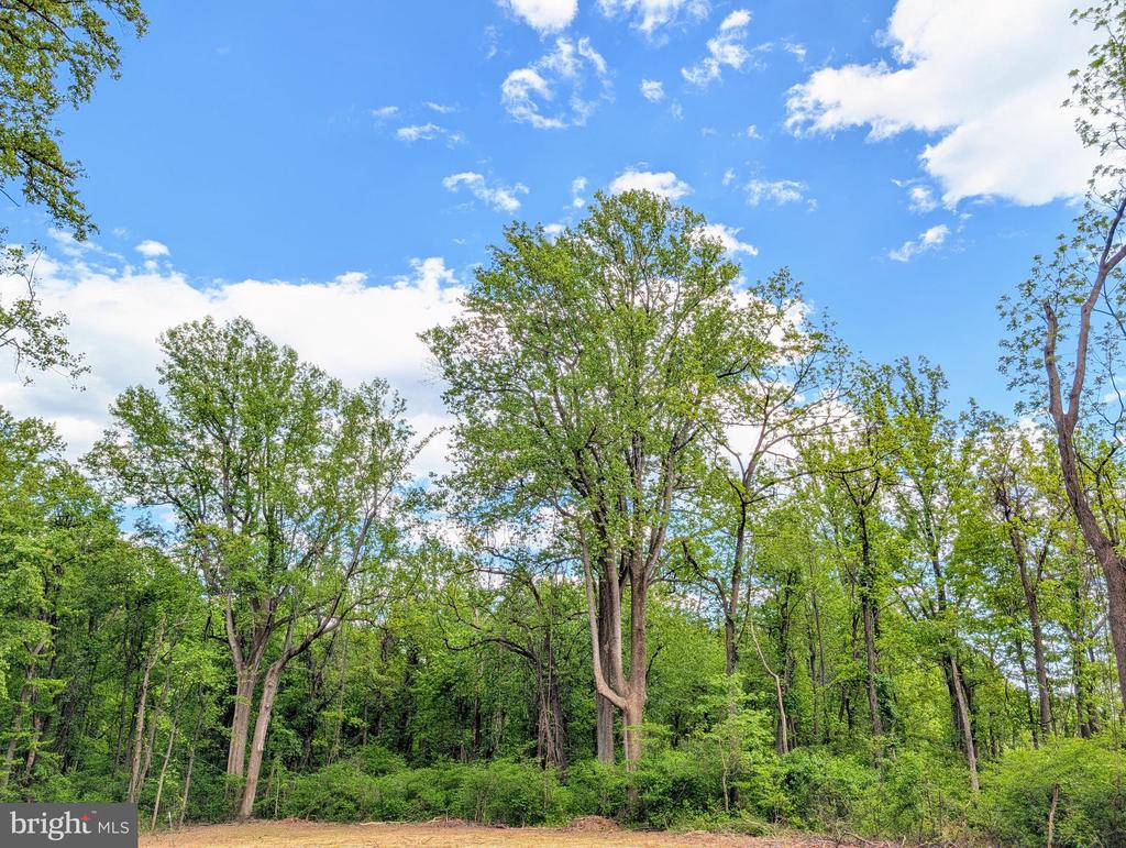 3964 HIDDEN VALLEY LN, LINDEN, Virginia 22642, ,Land,3964 HIDDEN VALLEY LN,VAFQ2022086 MLS # VAFQ2022086