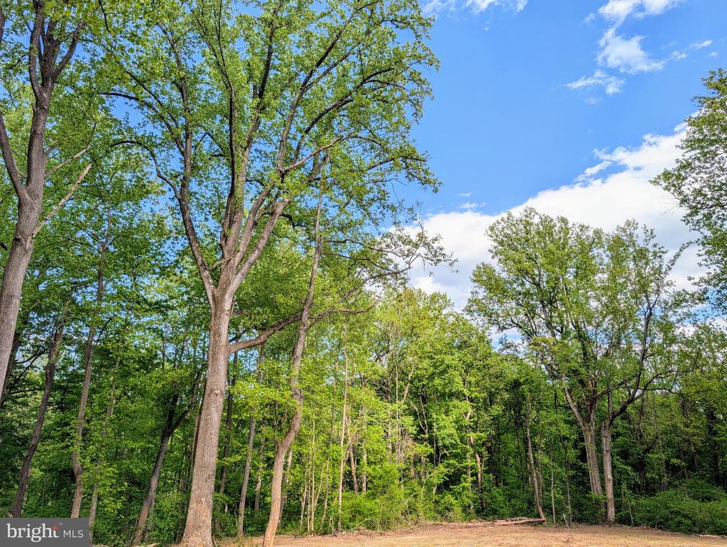 3964 HIDDEN VALLEY LN, LINDEN, Virginia 22642, ,Land,3964 HIDDEN VALLEY LN,VAFQ2022086 MLS # VAFQ2022086
