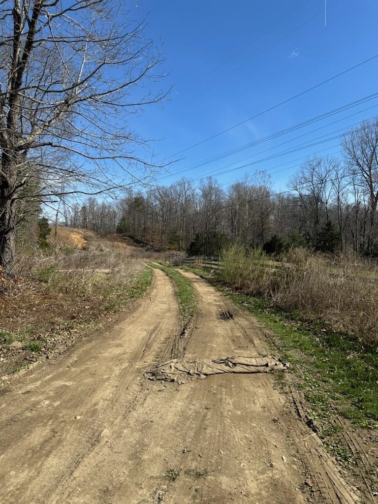 TBD CRIMORA MINE RD, CRIMORA, Virginia 24431, ,Land,TBD CRIMORA MINE RD,674767 MLS # 674767
