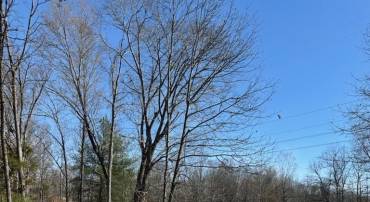TBD CRIMORA MINE RD, CRIMORA, Virginia 24431, ,Land,TBD CRIMORA MINE RD,674767 MLS # 674767