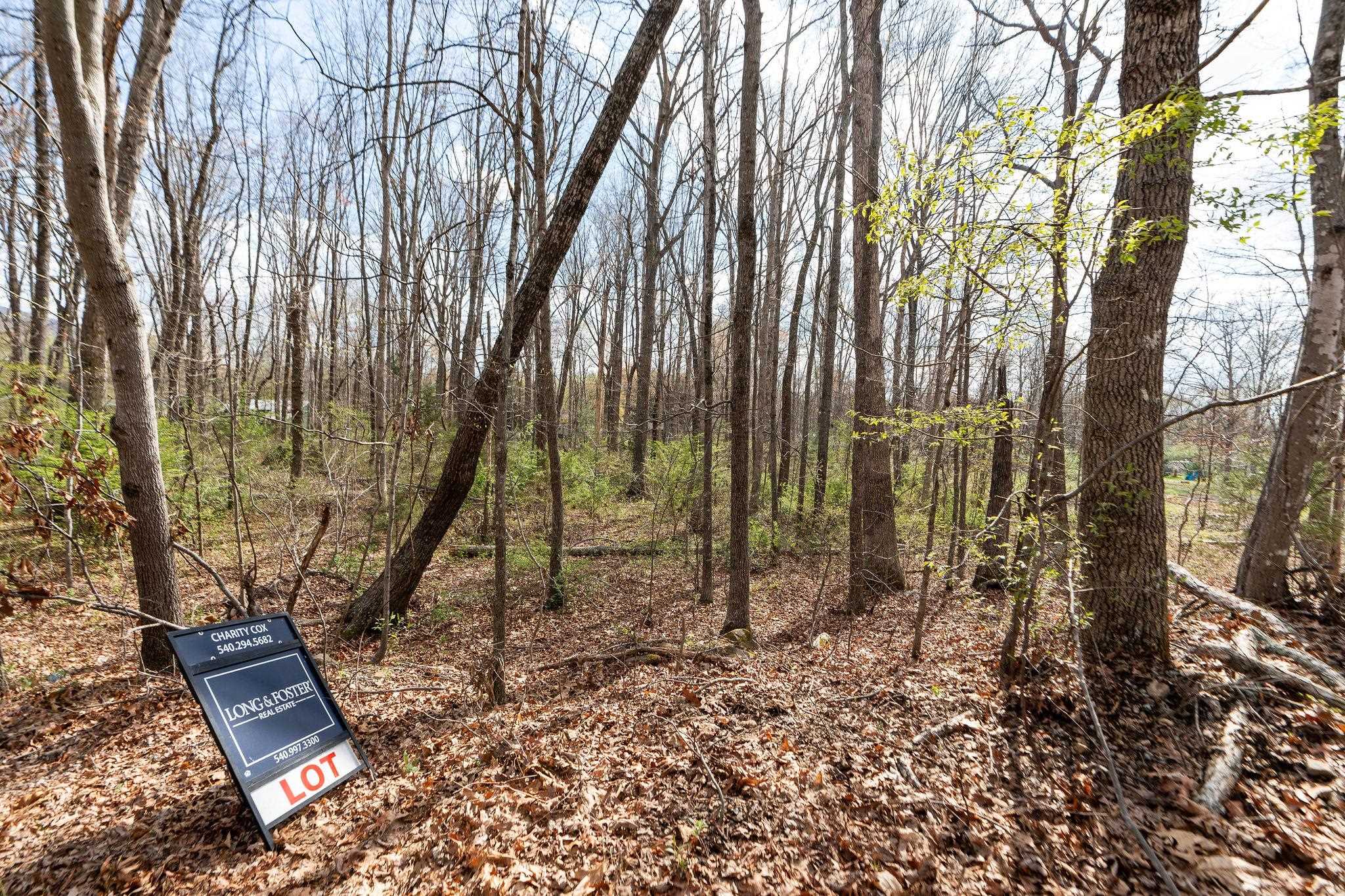 Lot 16 LAKE DR, CRIMORA, Virginia 24431, ,Land,Lot 16 LAKE DR,675327 MLS # 675327