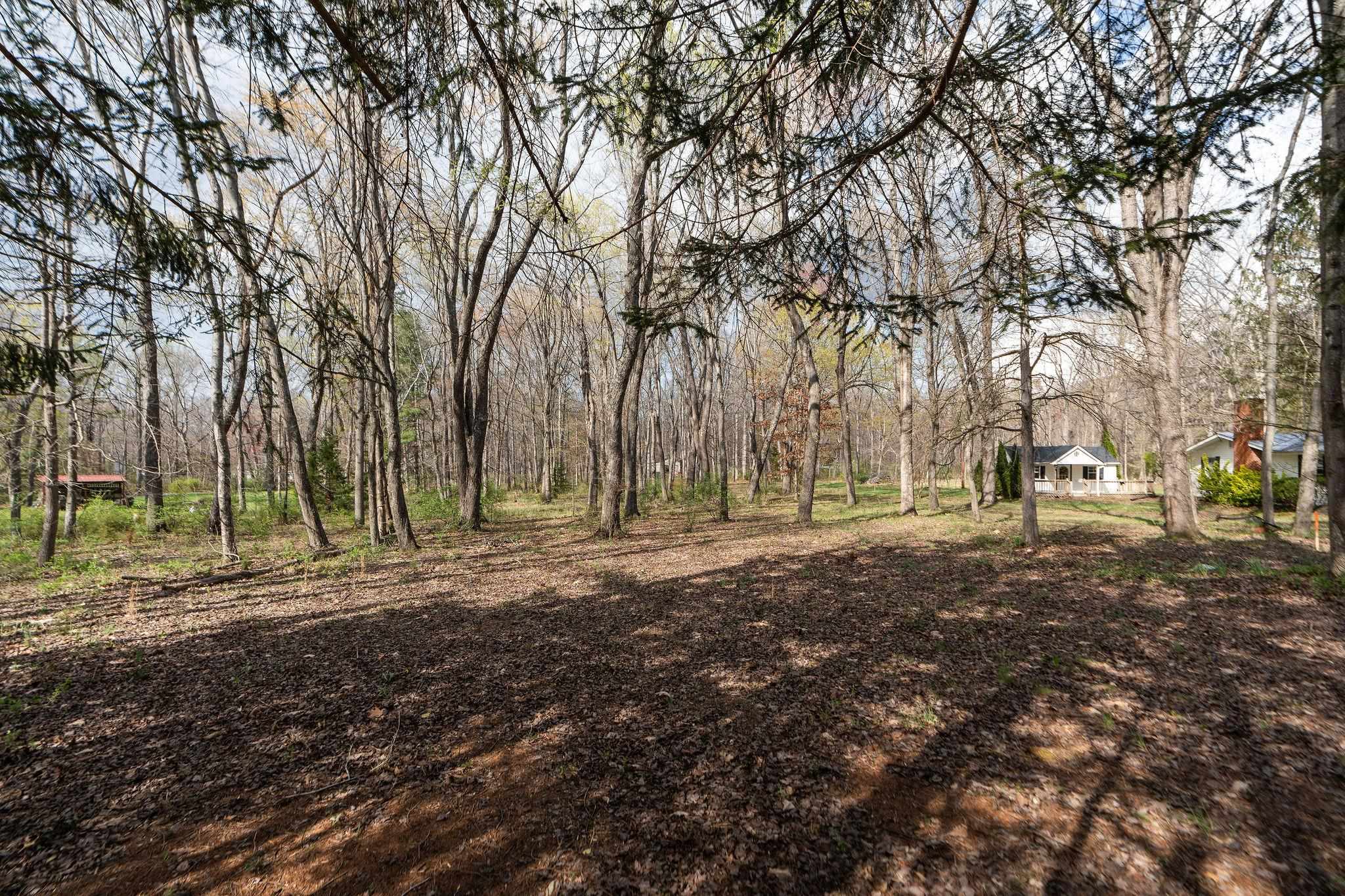 Lot 16 LAKE DR, CRIMORA, Virginia 24431, ,Land,Lot 16 LAKE DR,675327 MLS # 675327