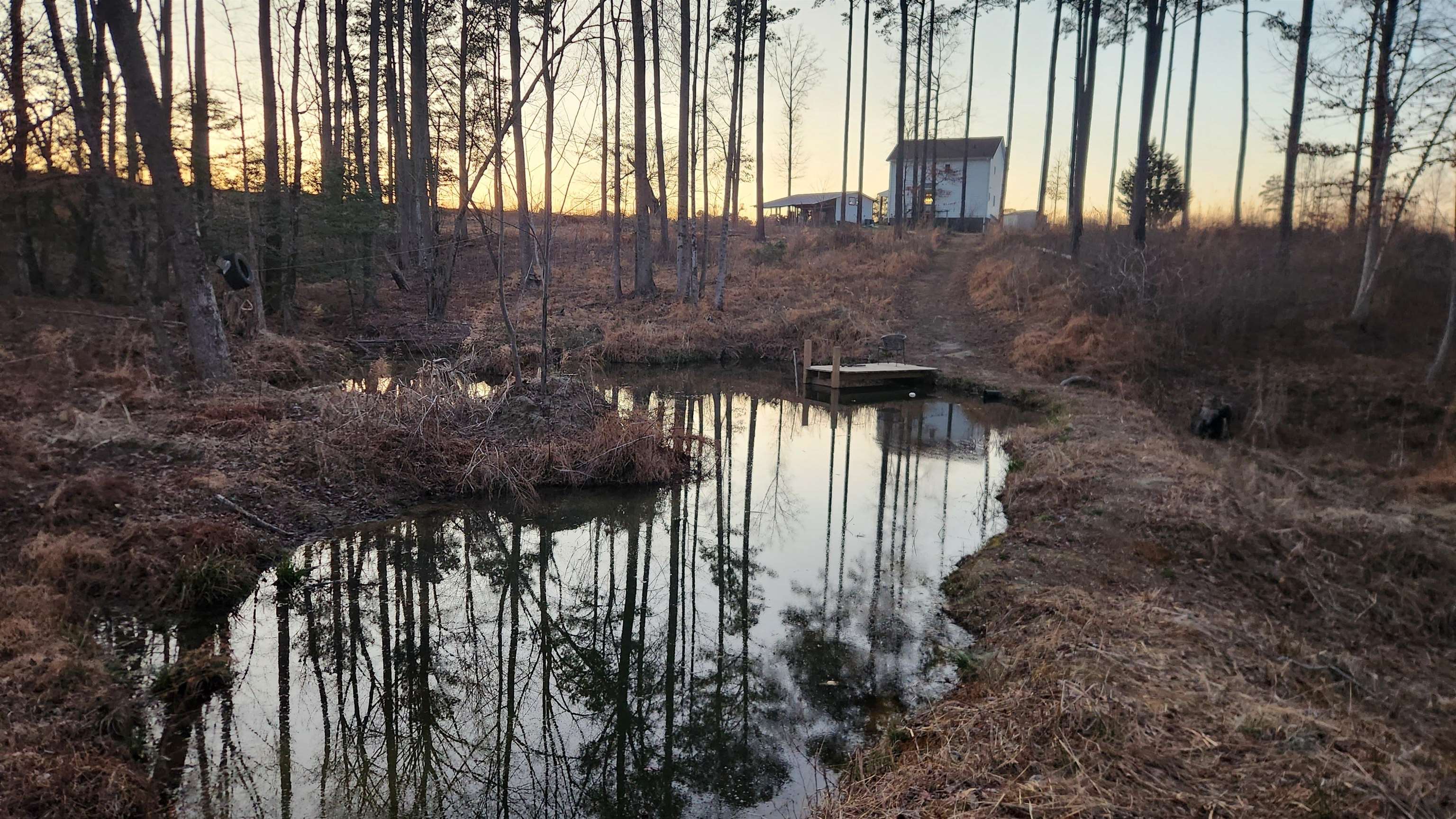 12107 JONES TOWN RD, IVOR, Virginia 23866, 4 Bedrooms Bedrooms, ,4 BathroomsBathrooms,Residential,12107 JONES TOWN RD,675790 MLS # 675790 12107 JONES TOWN RD, IVOR, Virginia 23866, 4 Bedrooms Bedrooms, ,4 BathroomsBathrooms,Residential,12107 JONES TOWN RD,675790 MLS # 675790