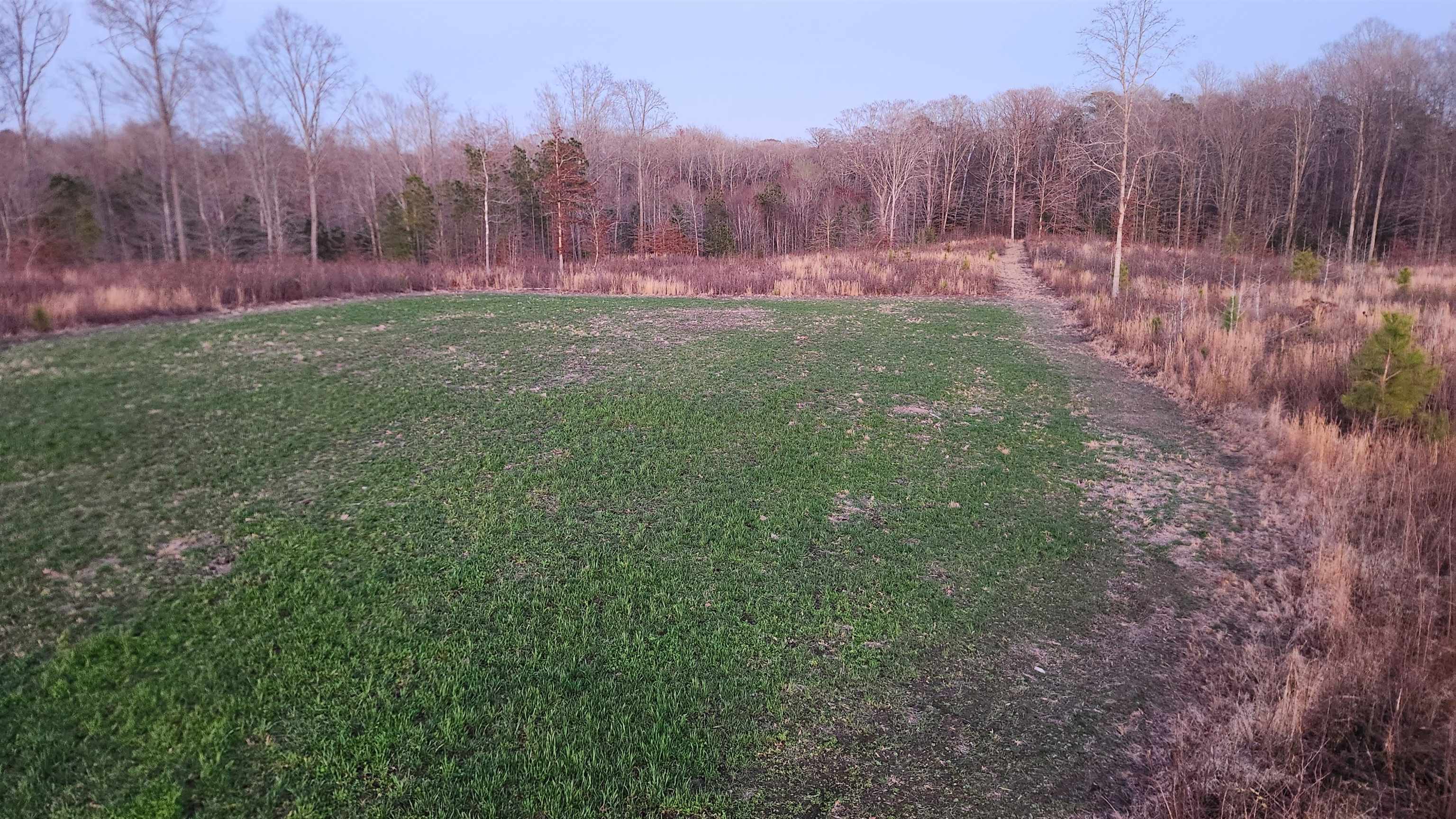 12107 JONES TOWN RD, IVOR, Virginia 23866, 4 Bedrooms Bedrooms, ,4 BathroomsBathrooms,Residential,12107 JONES TOWN RD,675790 MLS # 675790 12107 JONES TOWN RD, IVOR, Virginia 23866, 4 Bedrooms Bedrooms, ,4 BathroomsBathrooms,Residential,12107 JONES TOWN RD,675790 MLS # 675790