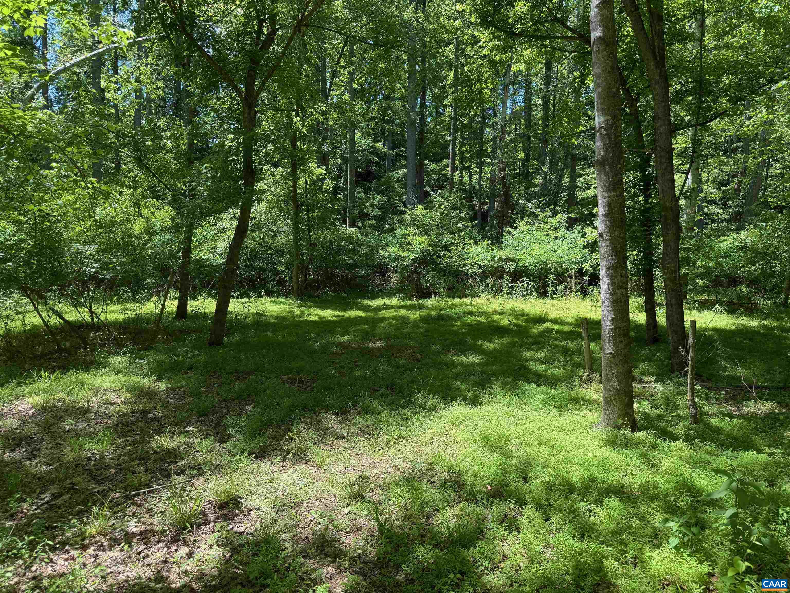 540 WILLWOOD DR, EARLYSVILLE, Virginia 22936, 4 Bedrooms Bedrooms, ,2 BathroomsBathrooms,Residential,Earlysville Home,540 WILLWOOD DR,677233 MLS # 677233