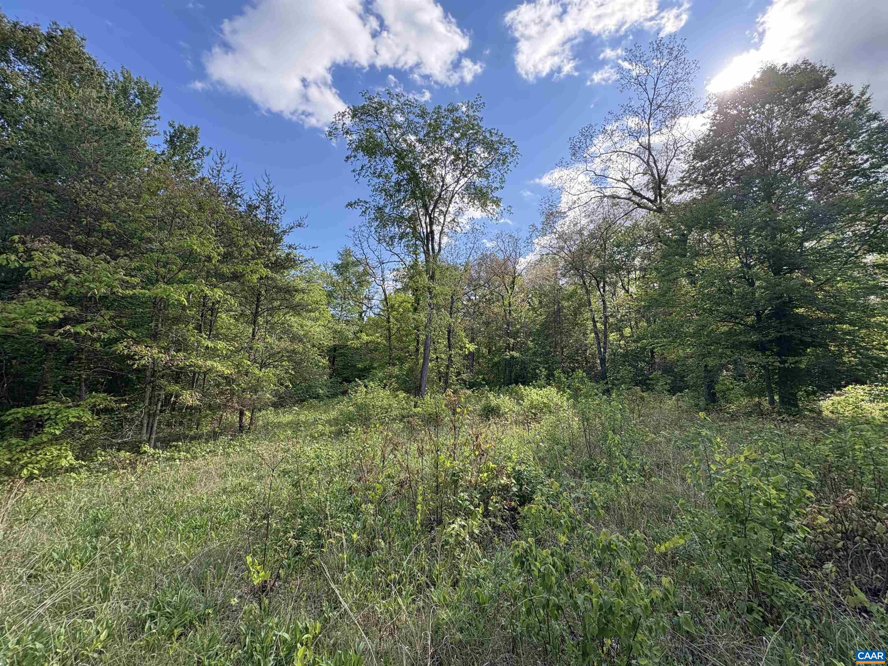 000 KEYS CHURCH RD, SHIPMAN, Virginia 22971, ,Land,000 KEYS CHURCH RD,677246 MLS # 677246 000 KEYS CHURCH RD, SHIPMAN, Virginia 22971, ,Land,000 KEYS CHURCH RD,677246 MLS # 677246